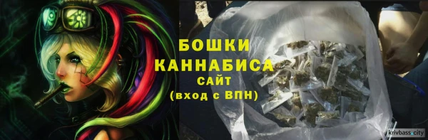 дурь Пестово