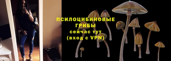 spice Куйбышев