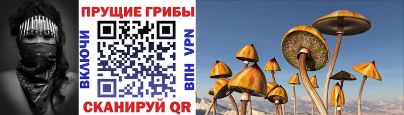 Псилоцибиновые грибы MAGIC MUSHROOMS  ссылка на мегу ссылка  Афипский 